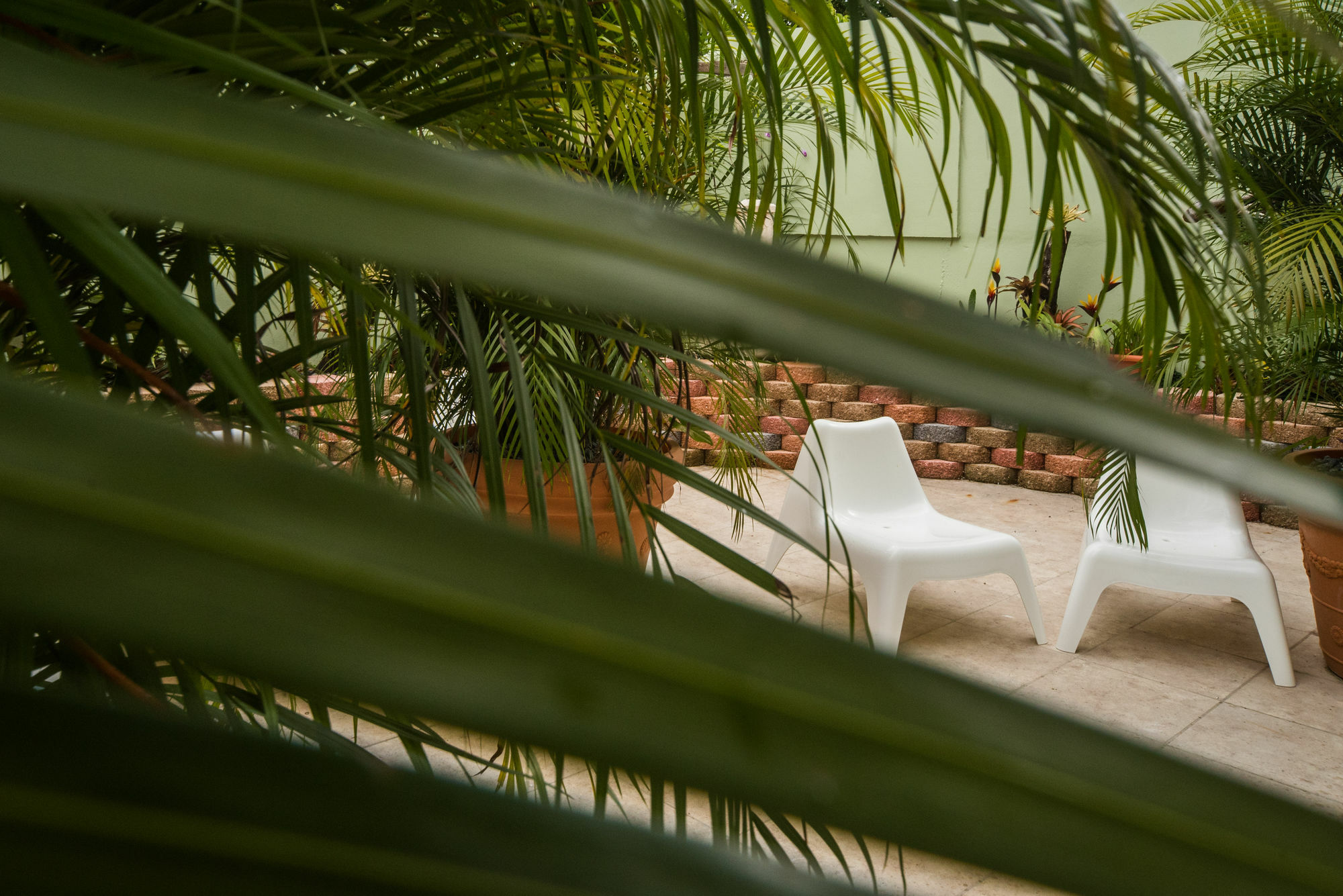 Rincon Plaza Hotel Buitenkant foto